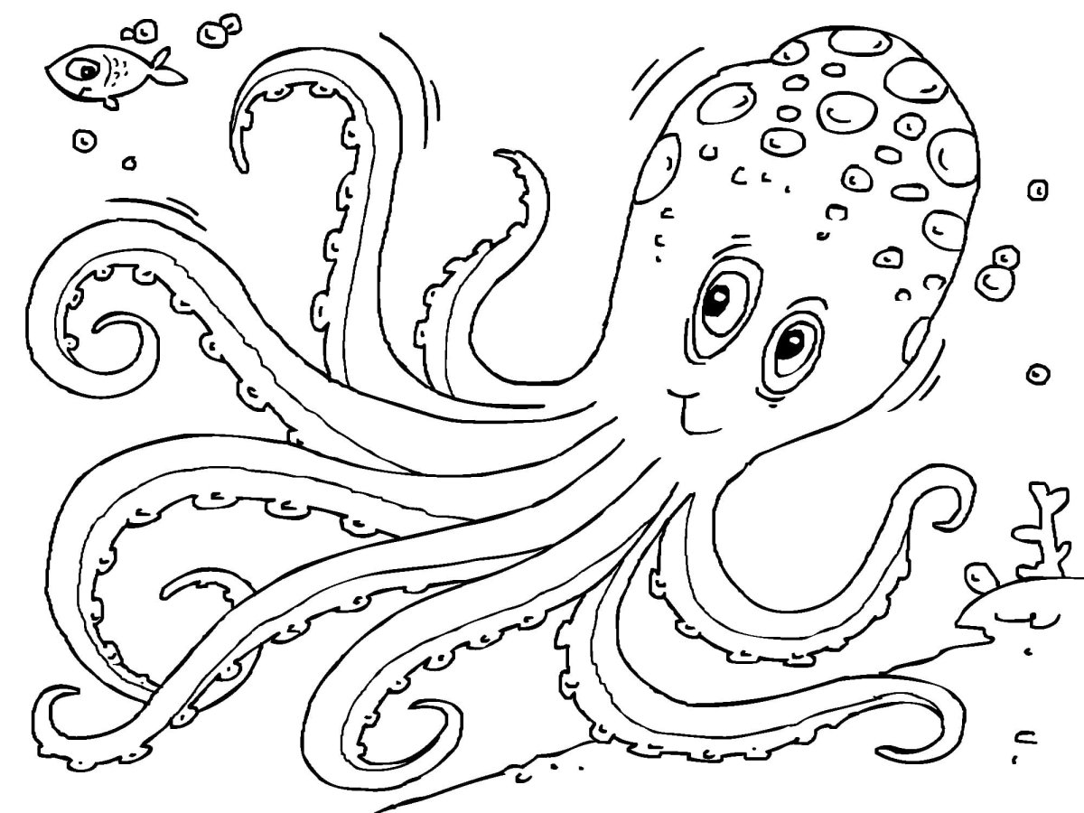 Раскраска радужный осьминог для детей