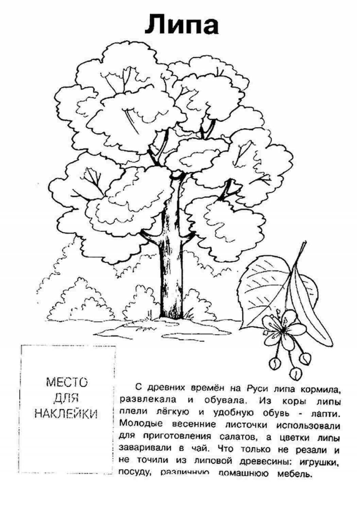 Раскраска сверкающее дерево для детей 4-5 лет