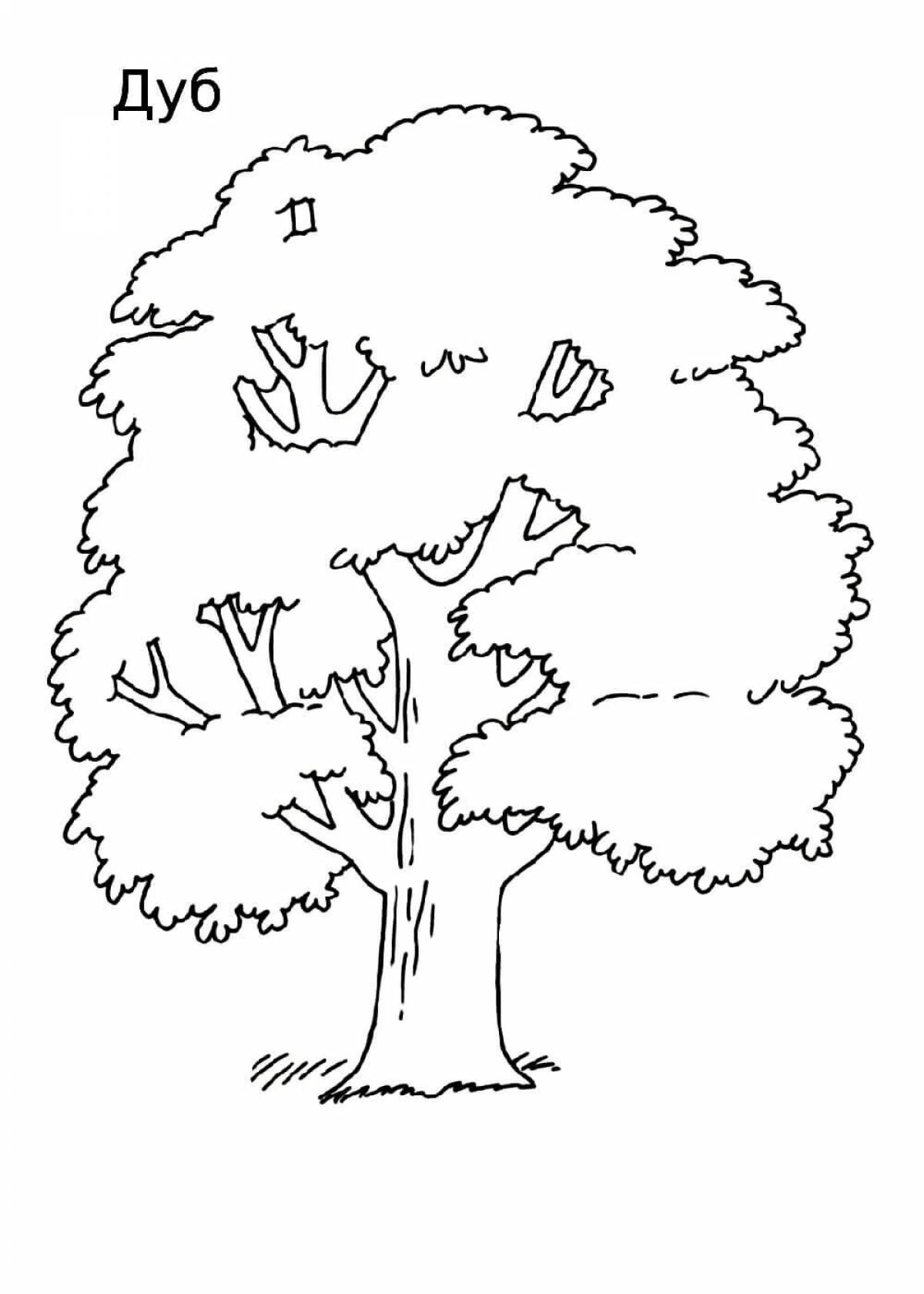 Amazing tree coloring pages for 4-5 year olds
