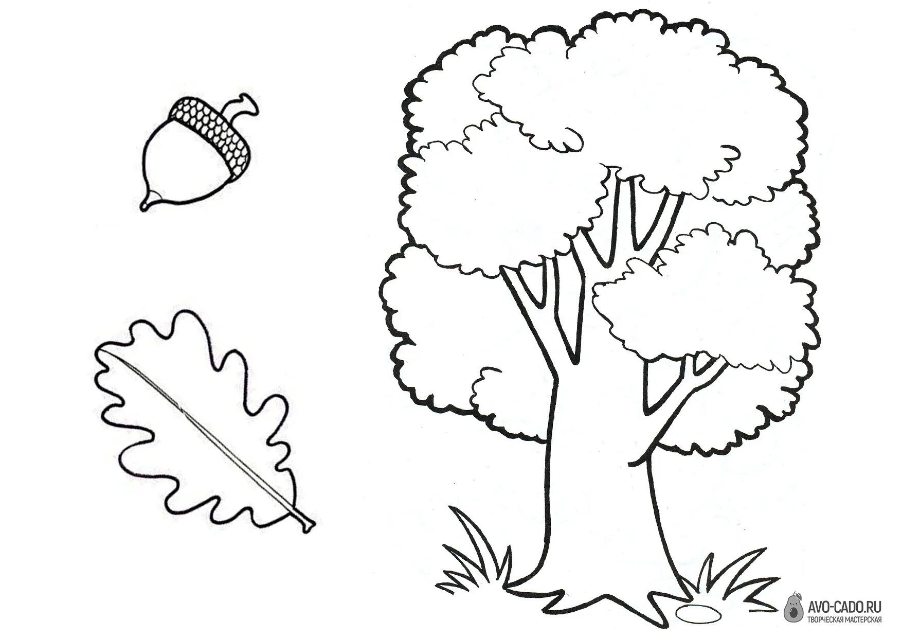 Coloring book magic tree for children 4-5 years old