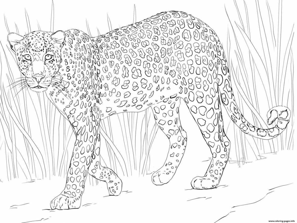 Cute leopard coloring book for 5-6 year olds