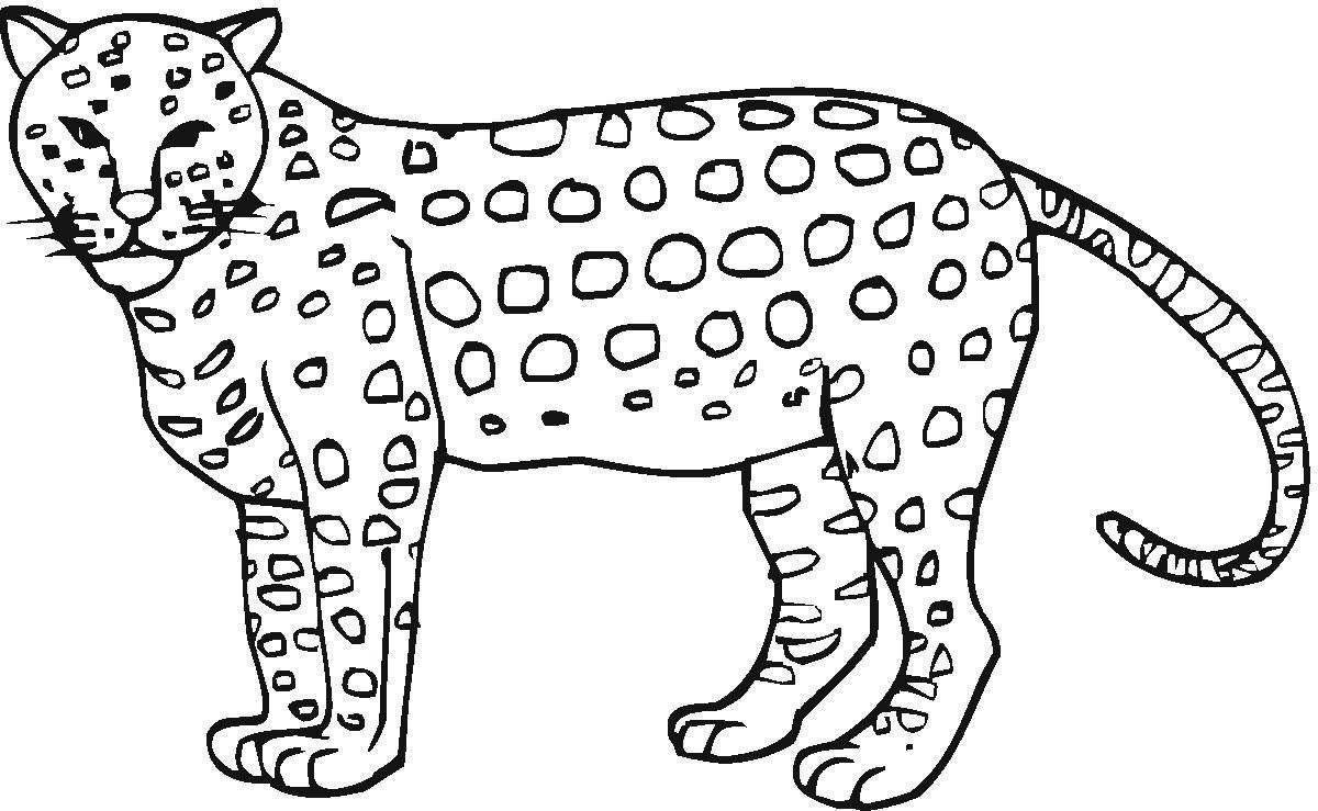 Очаровательная леопардовая раскраска для детей 5-6 лет