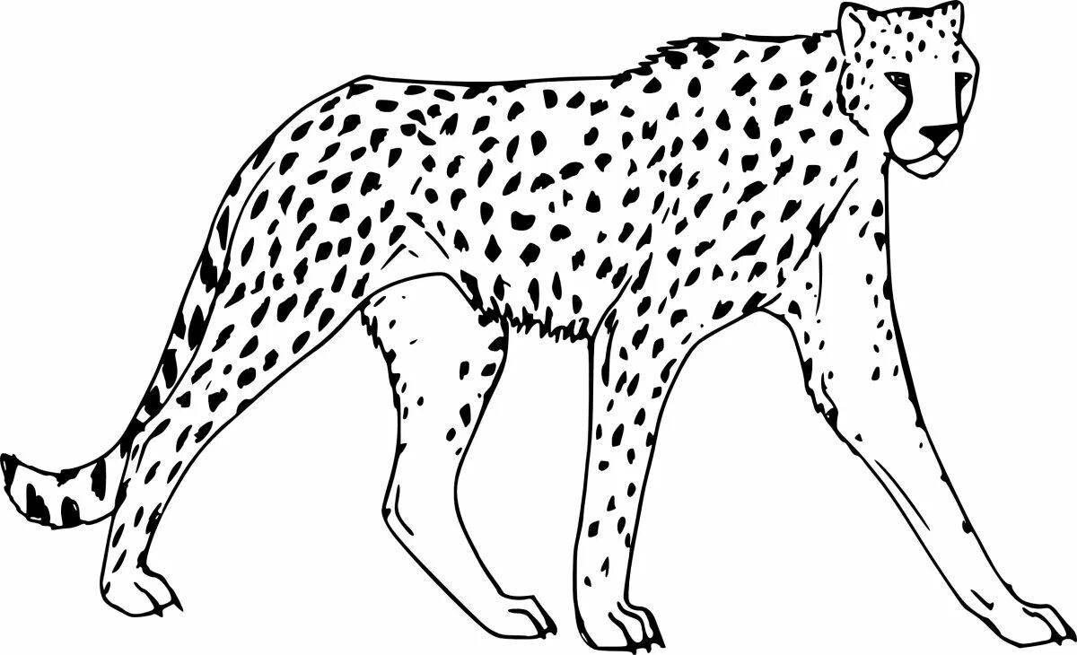 Coloring book mystical leopard for children 5-6 years old