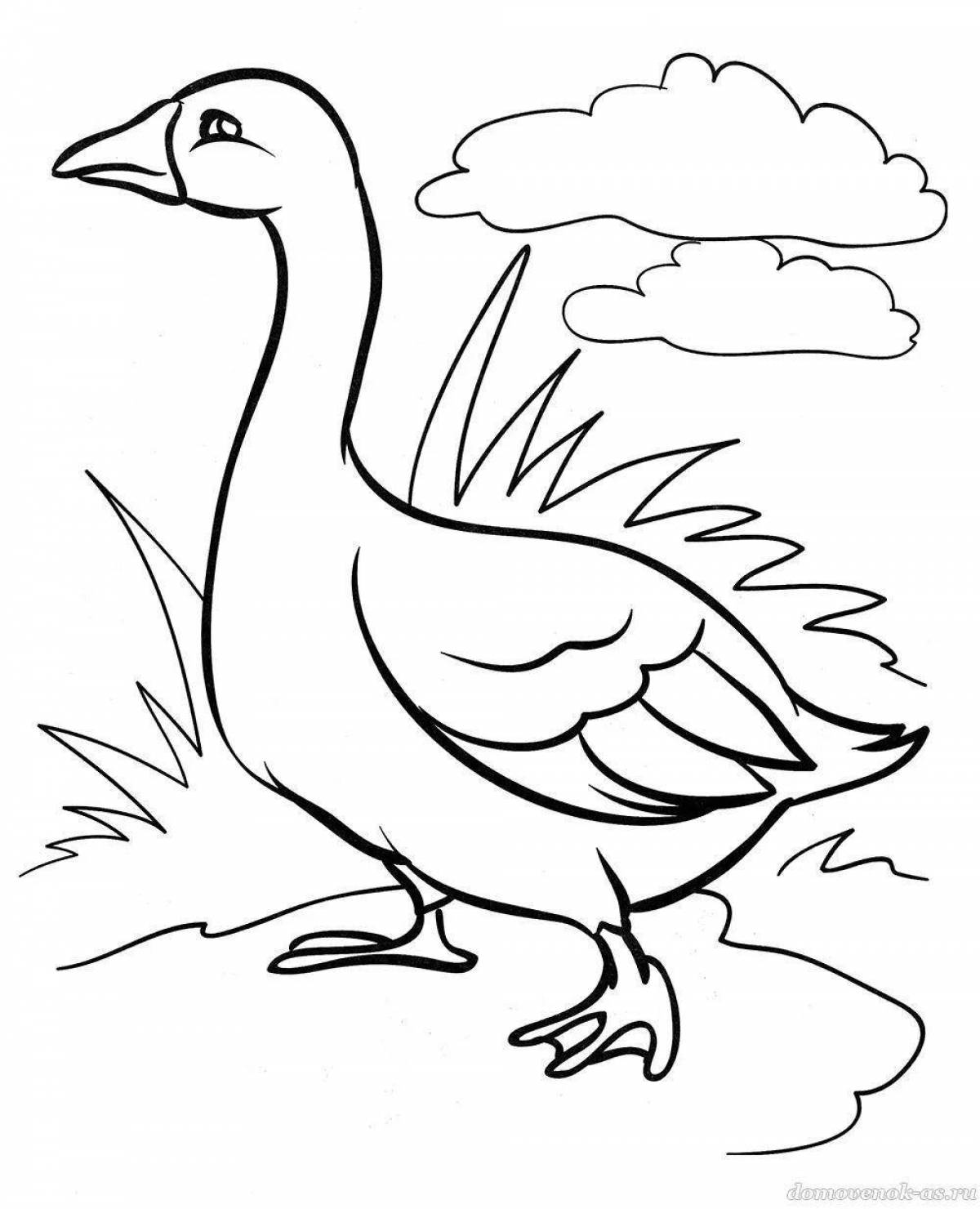 Sweet goose coloring book for children 6-7 years old