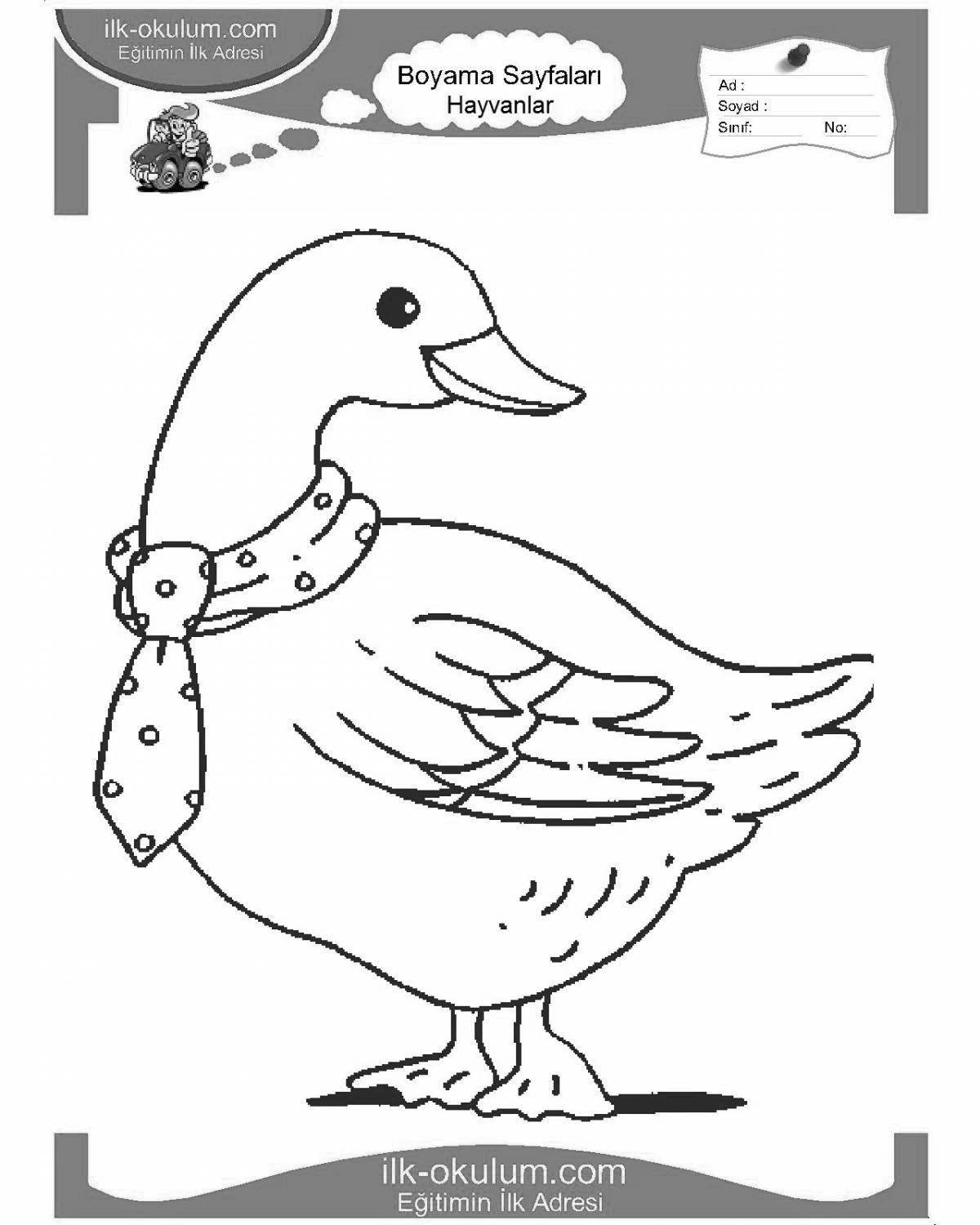 Wonderful goose coloring book for 6-7 year olds