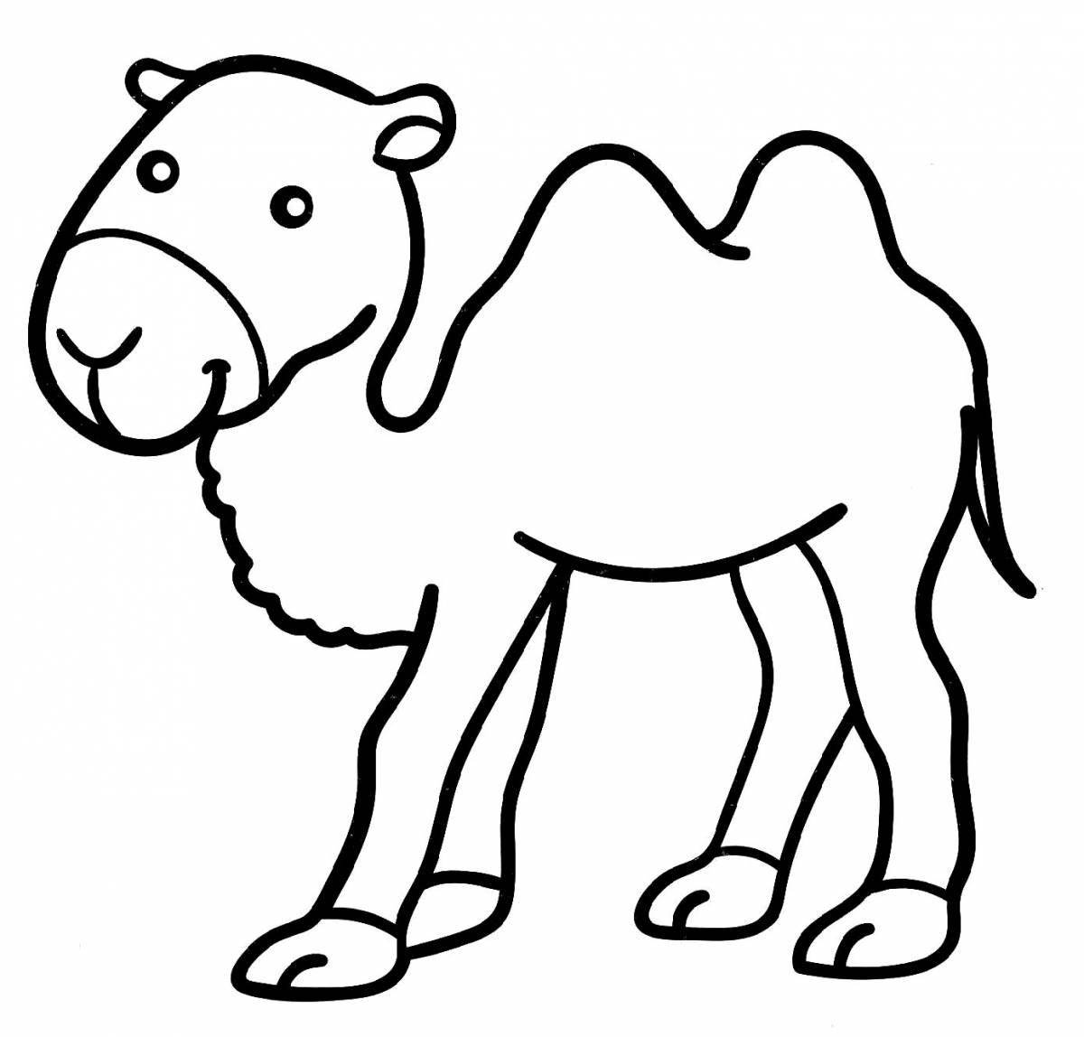 A fun camel coloring book for 6-7 year olds