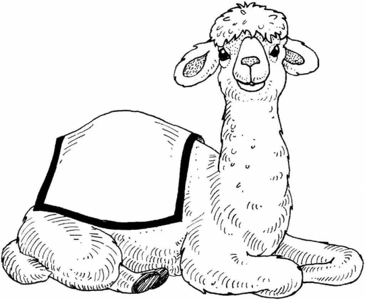 Creative camel coloring book for 6-7 year olds