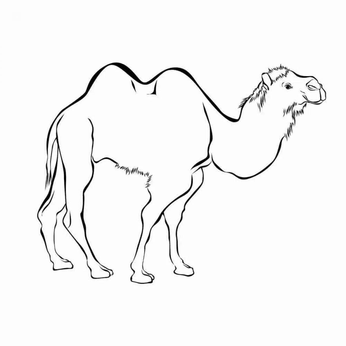 Fabulous camel coloring book for children 6-7 years old