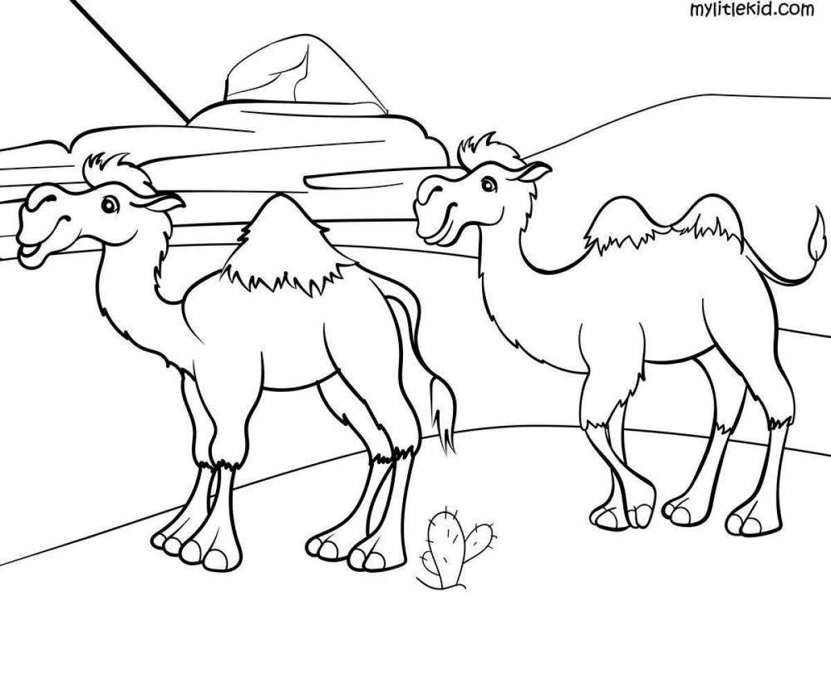 A funny camel coloring book for kids 6-7 years old