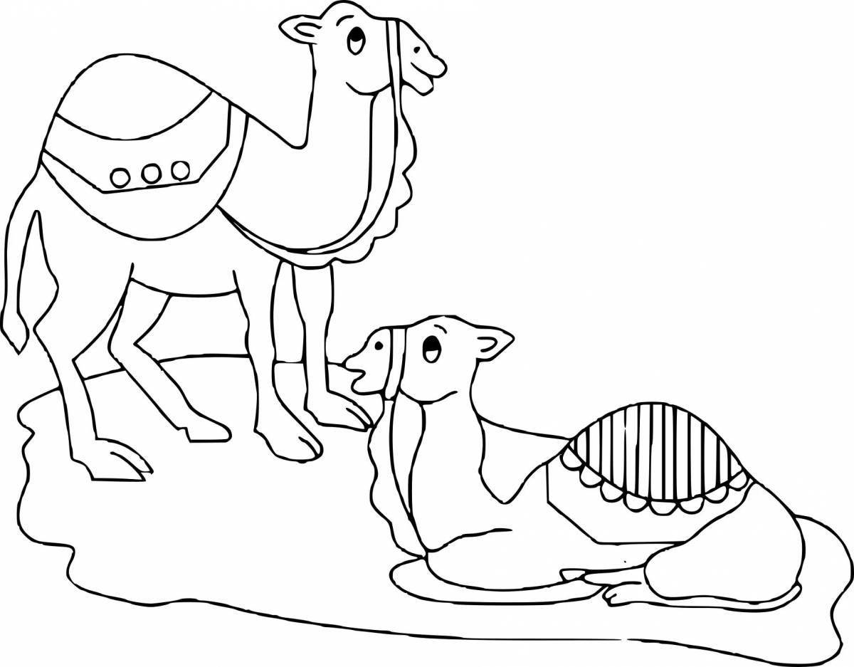 Color-blast camel coloring page for children 6-7 years old