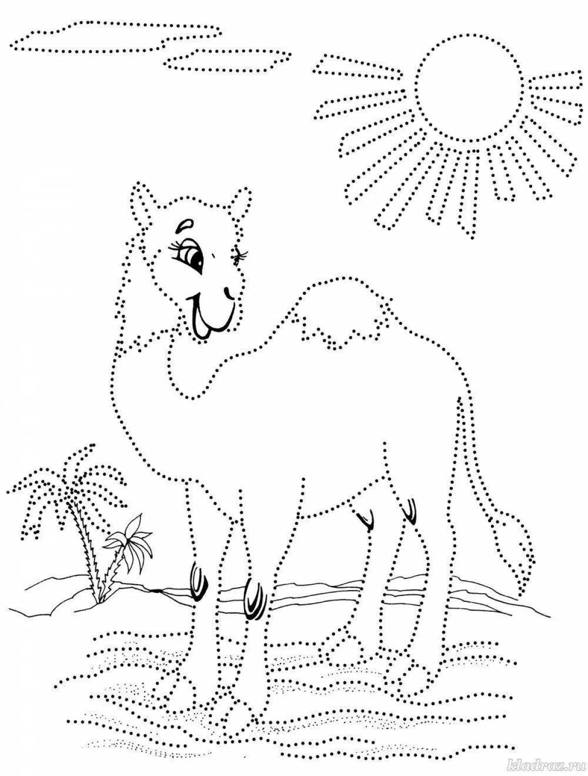 Crazy camel coloring book for 6-7 year olds