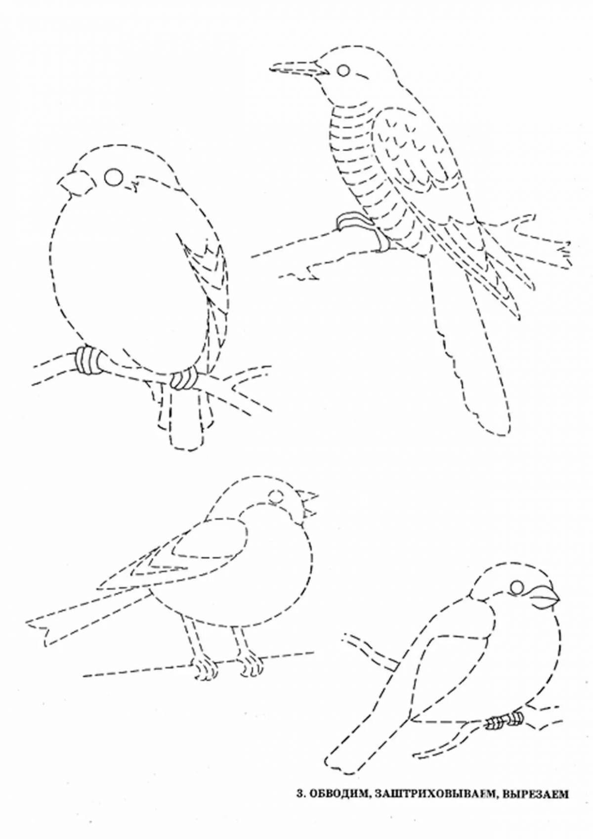 Штриховка зимующие птицы