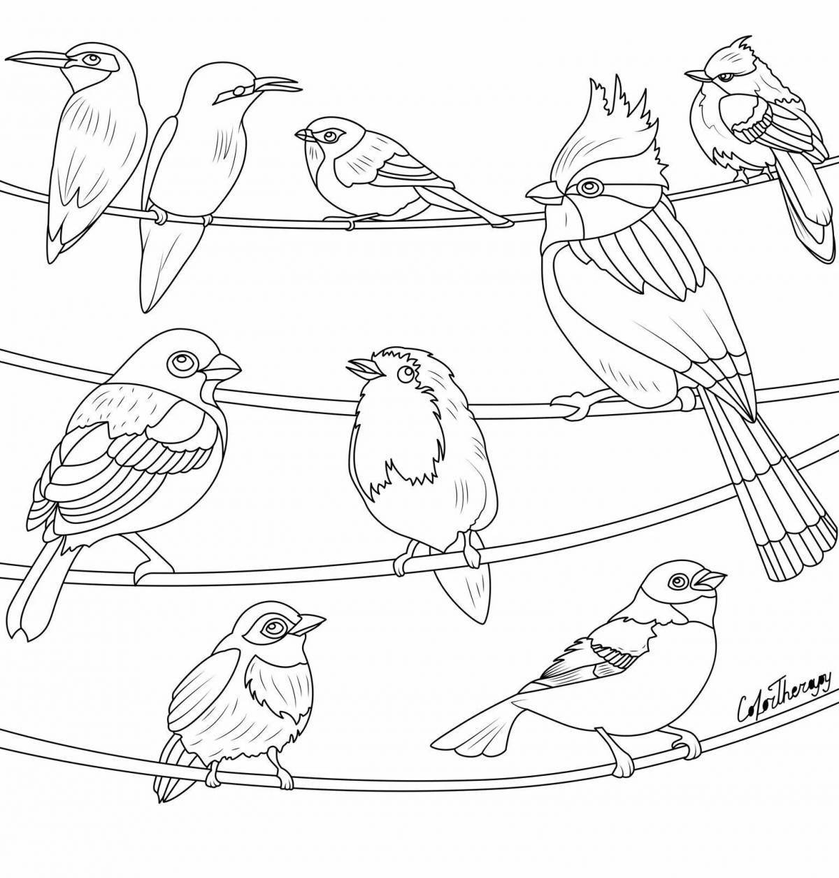 Раскраска славных зимующих птиц