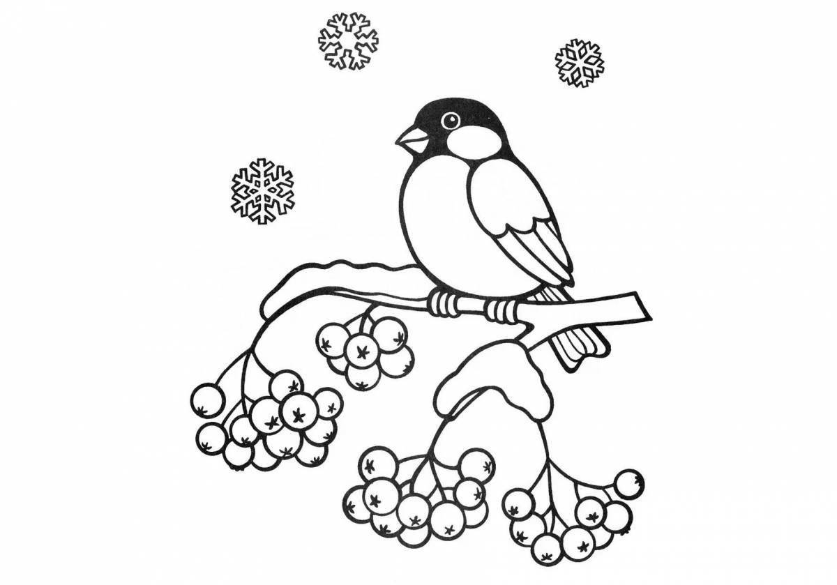 Colourful coloring pages of wintering birds