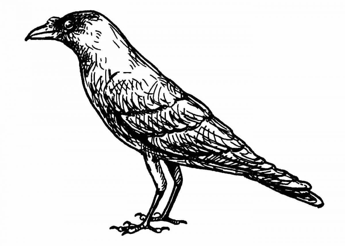 Colorful crow coloring page for 6-7 year olds