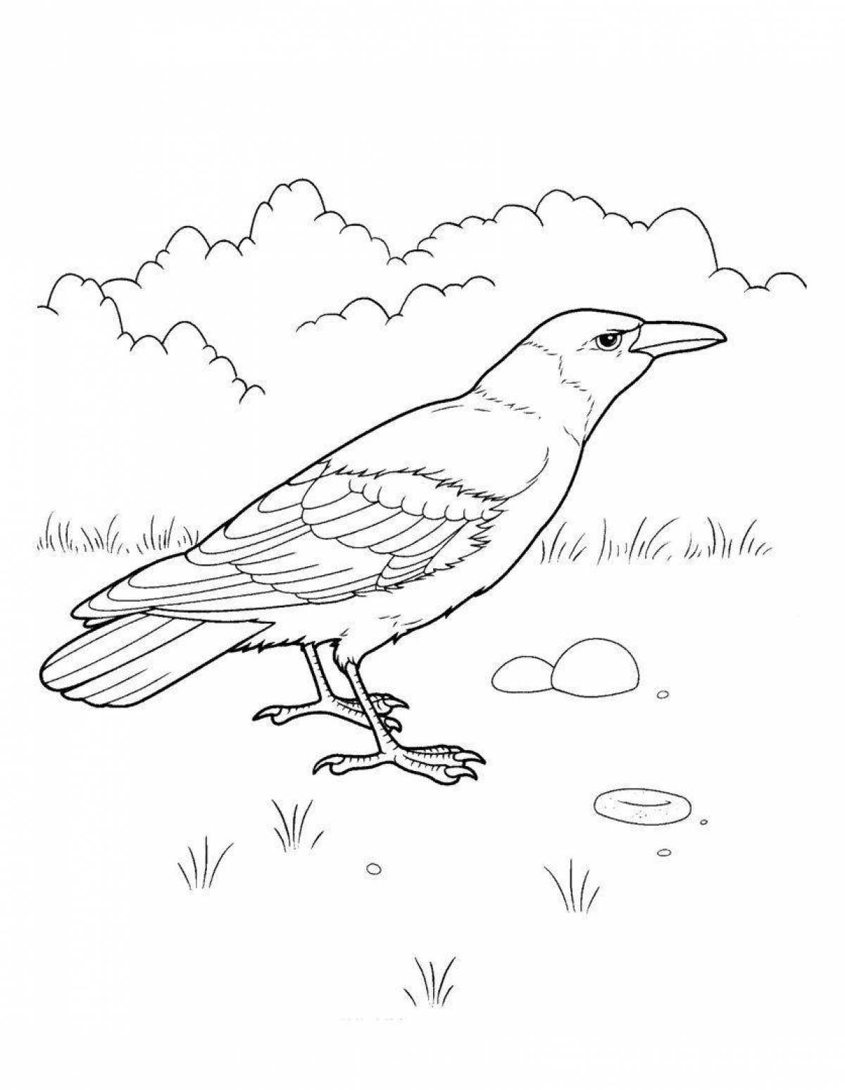 Coloring book funny crow for children 6-7 years old