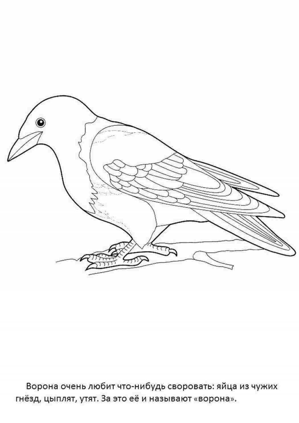 Coloring page nice crow for children 6-7 years old