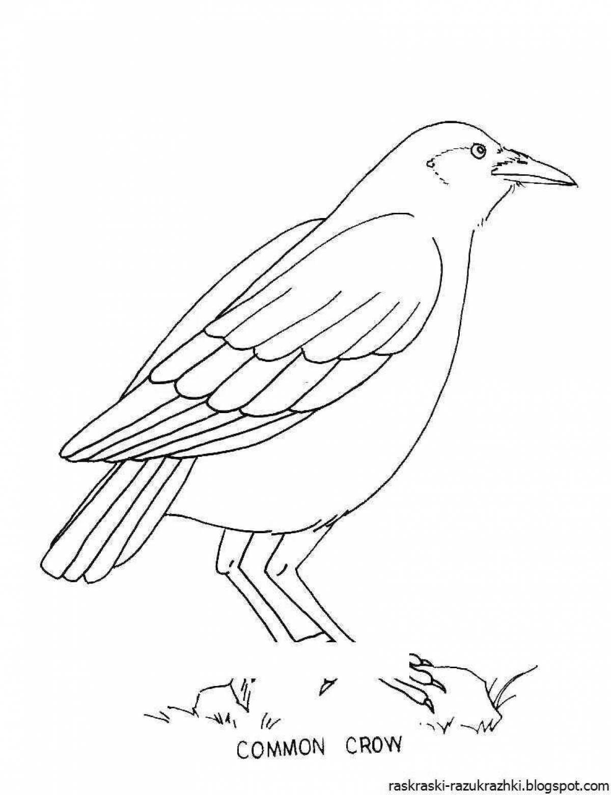 Living crow coloring book for children 6-7 years old
