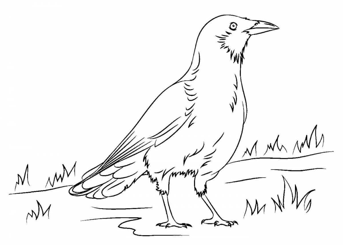 Animated crow coloring page for 6-7 year olds