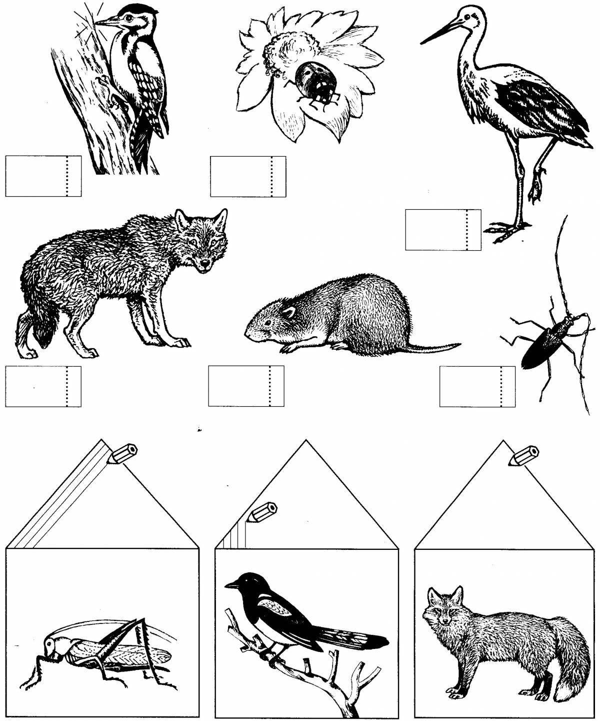 Playful wildlife coloring pages for kids