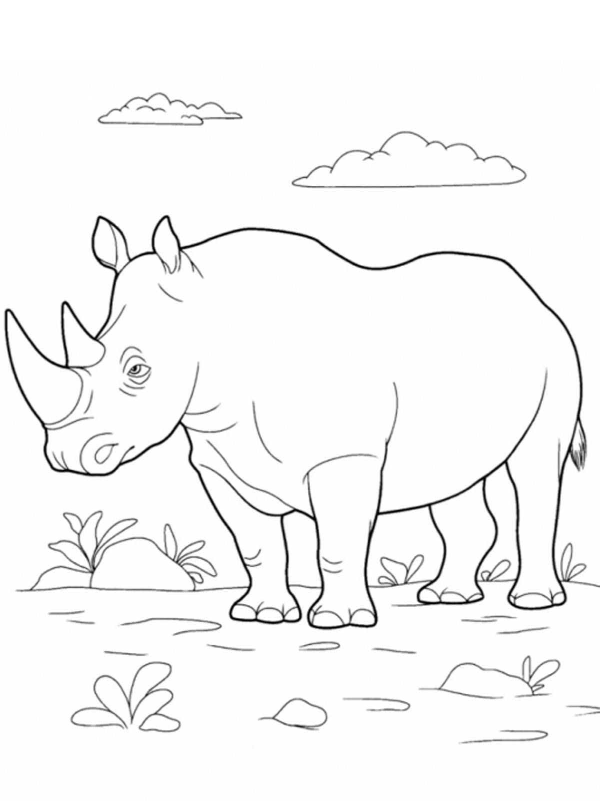 Colouring animals of hot and cold countries for preschoolers