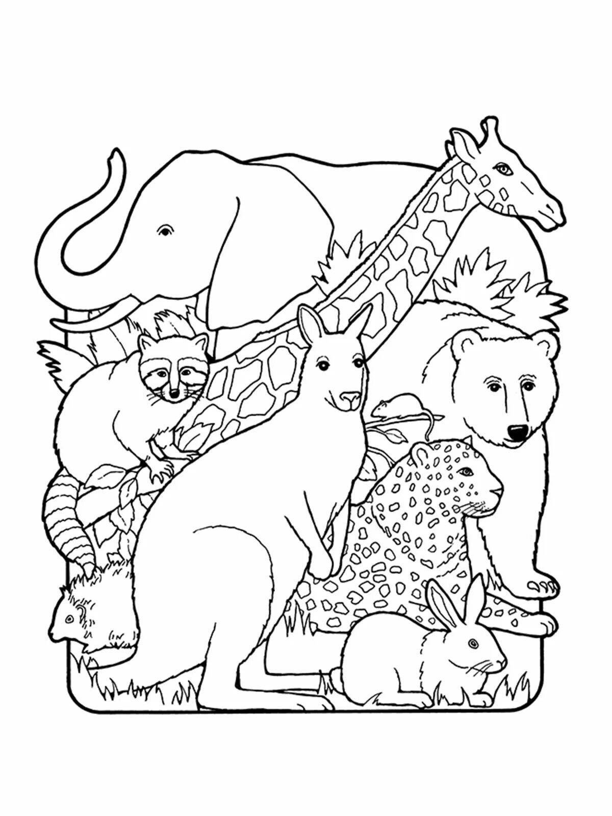 Fun coloring pages animals of hot and cold countries for preschoolers