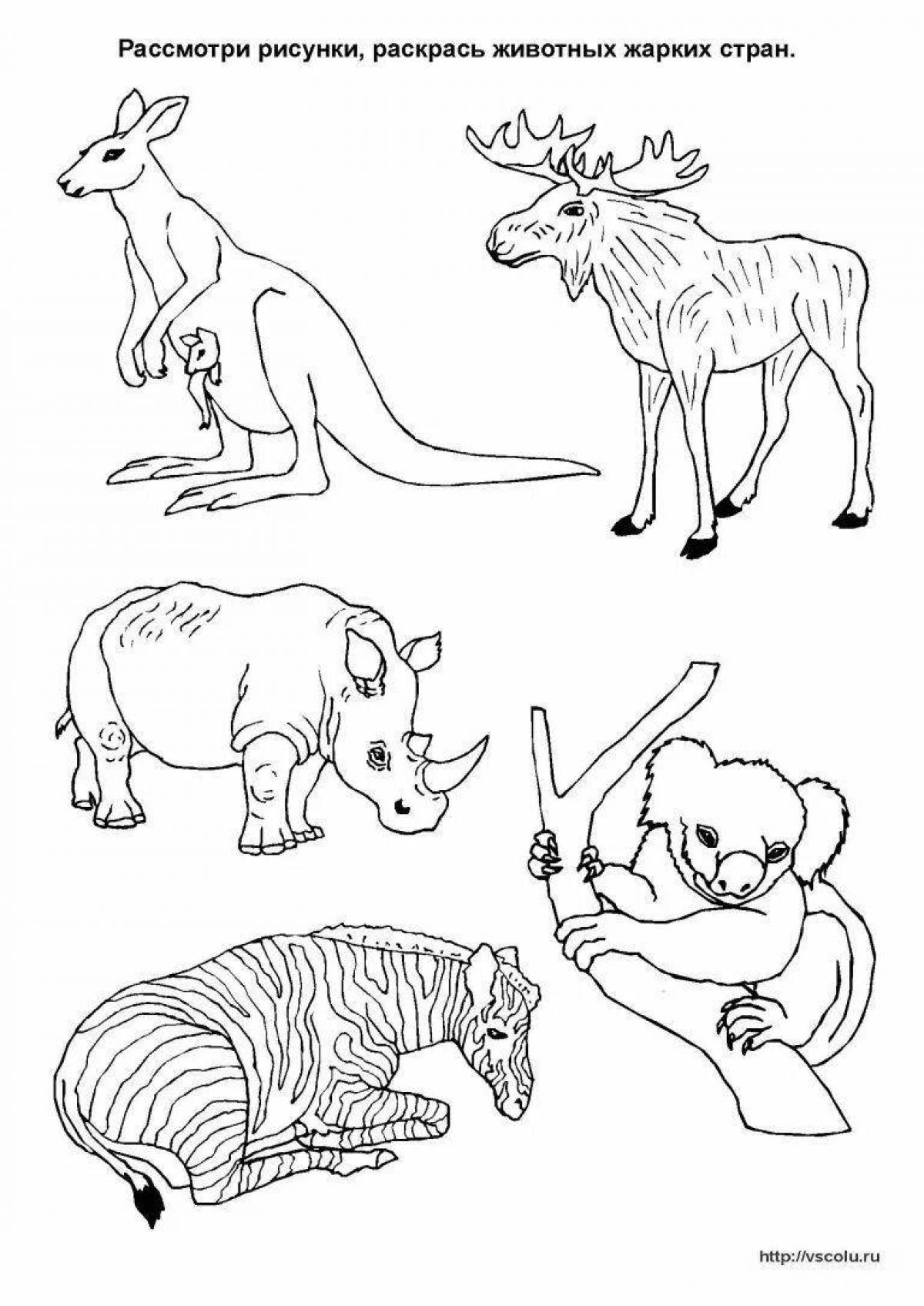 Раскраска с наклейками: Животные жарких стран
