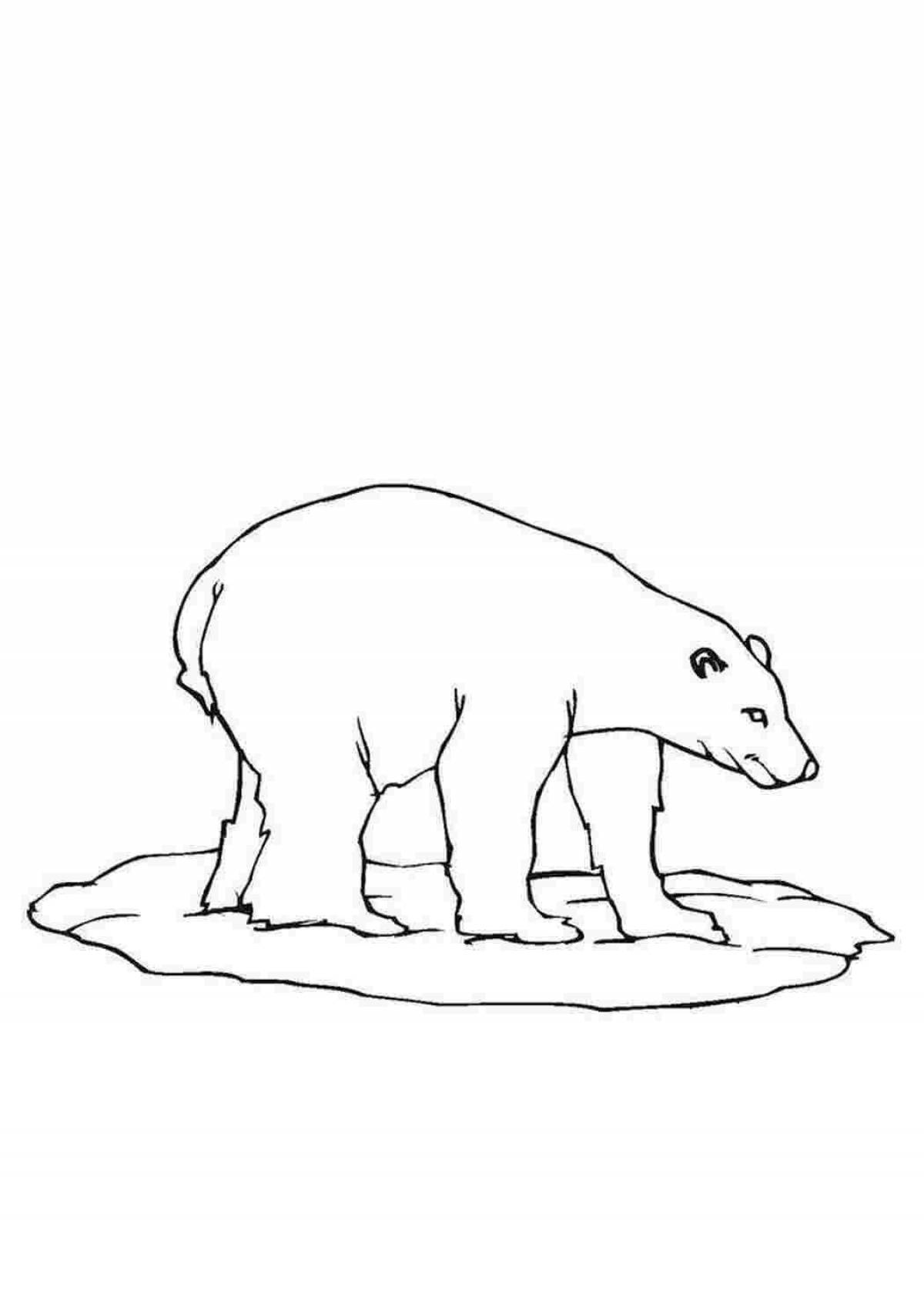 Раскраска «волшебный белый медведь» для детей 2-3 лет