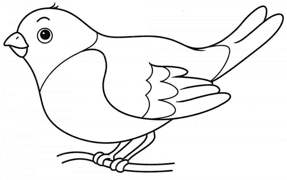 Adorable sparrow coloring book for little ones