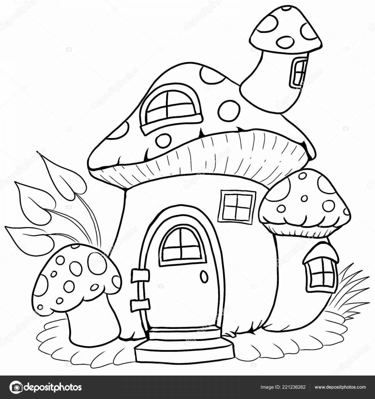 Glitter house coloring book for 4-5 year olds