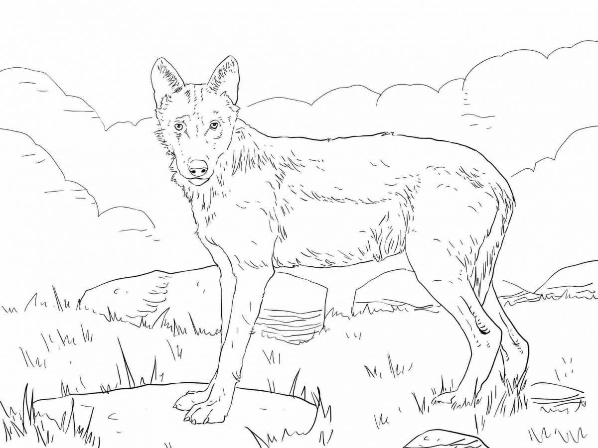 Great wolf coloring book for kids 6-7 years old