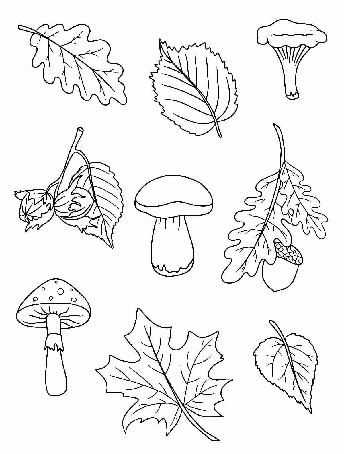 Impressive autumn coloring book for 3-4 year olds