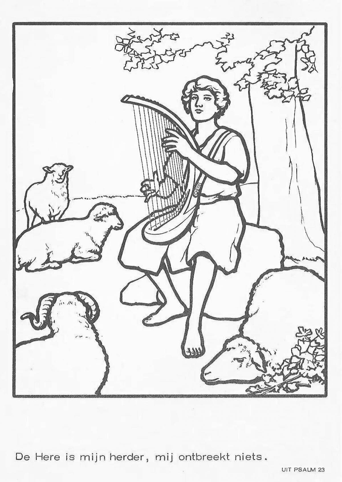 Crazy Coloring Shepherd Dog