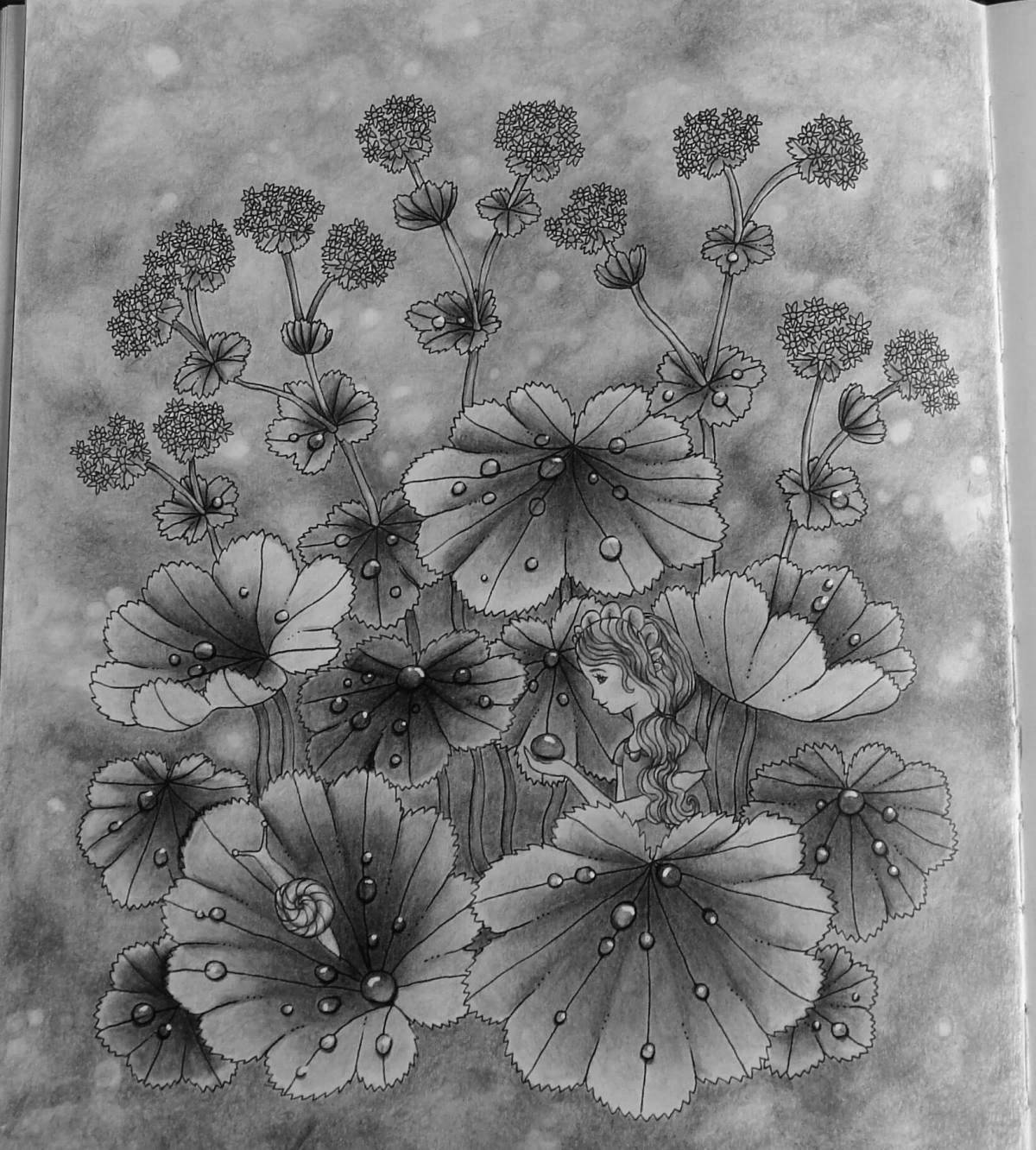 Раскраска Яркая раскраска botanicum