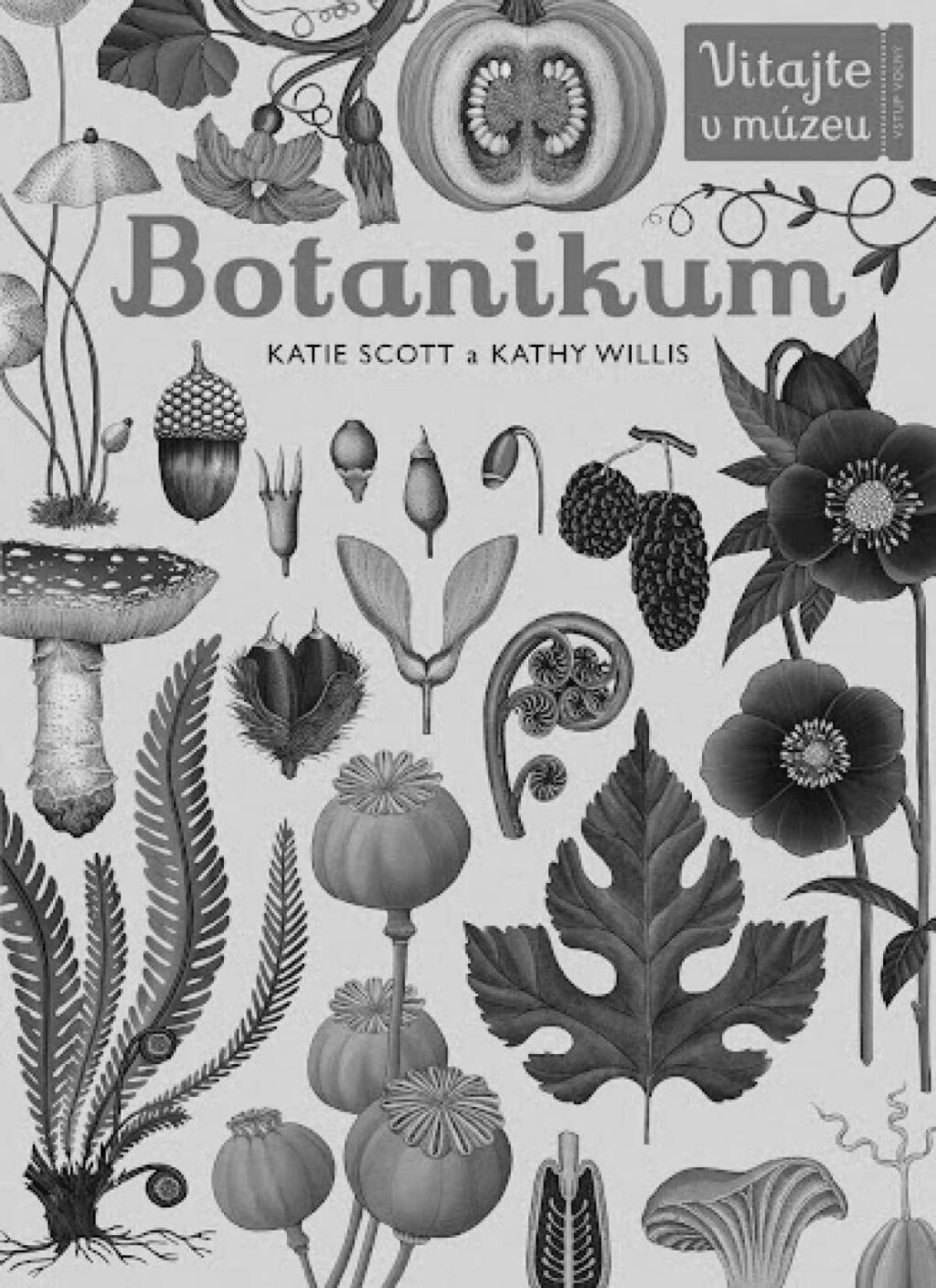Живая раскраска botanicum