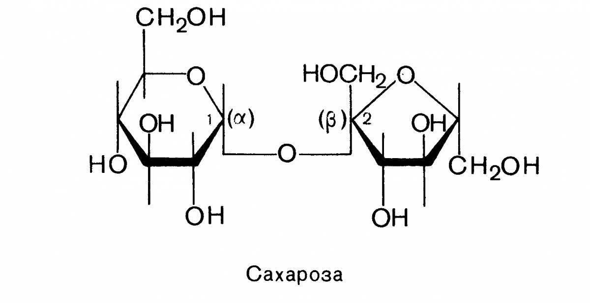 Чатфики геншин. Геншин sucrose. Сахароза Геншина. Строение сахарозы. Сахароза раскраска Геншин Импакт.