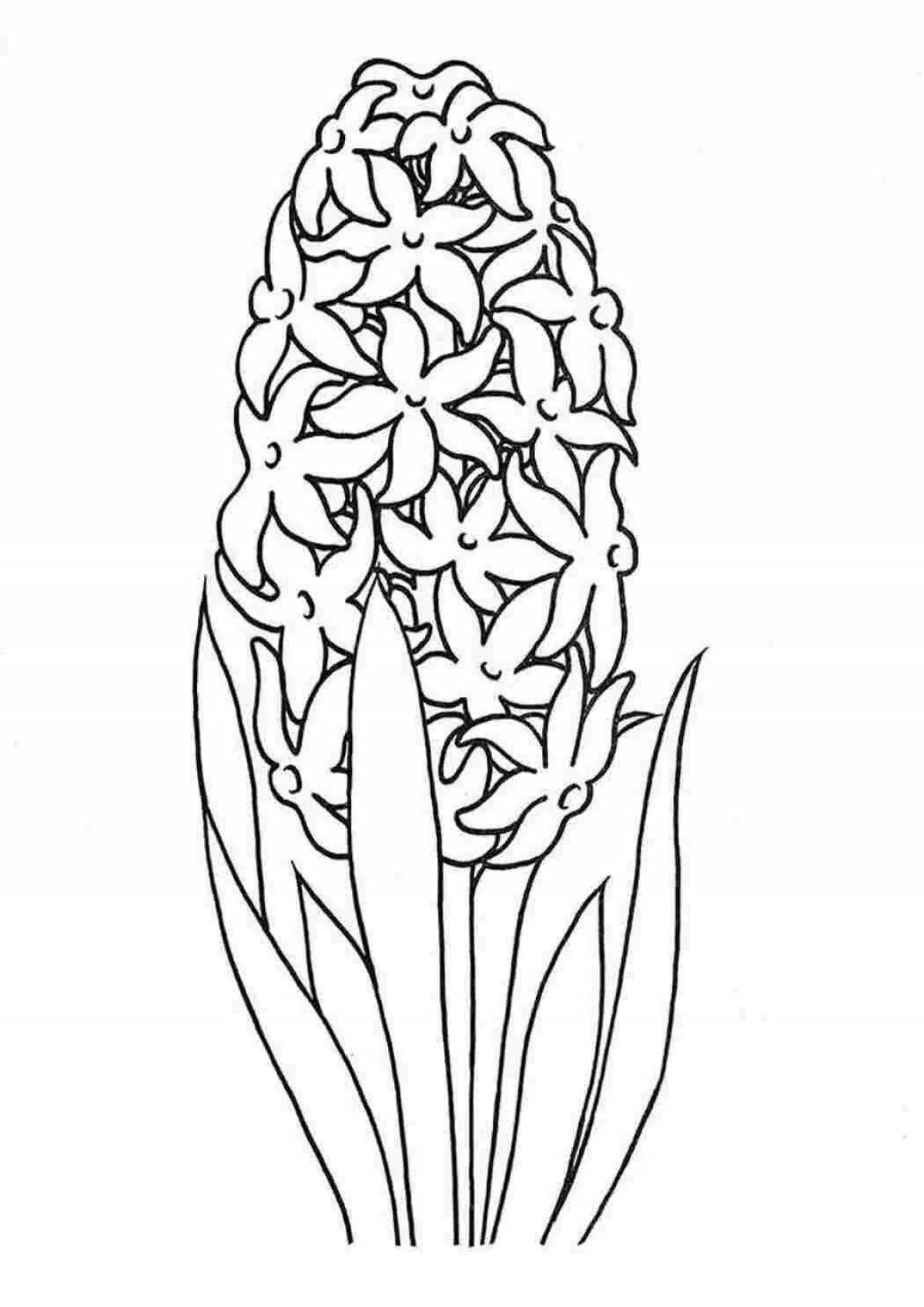 Colorful orchis coloring page