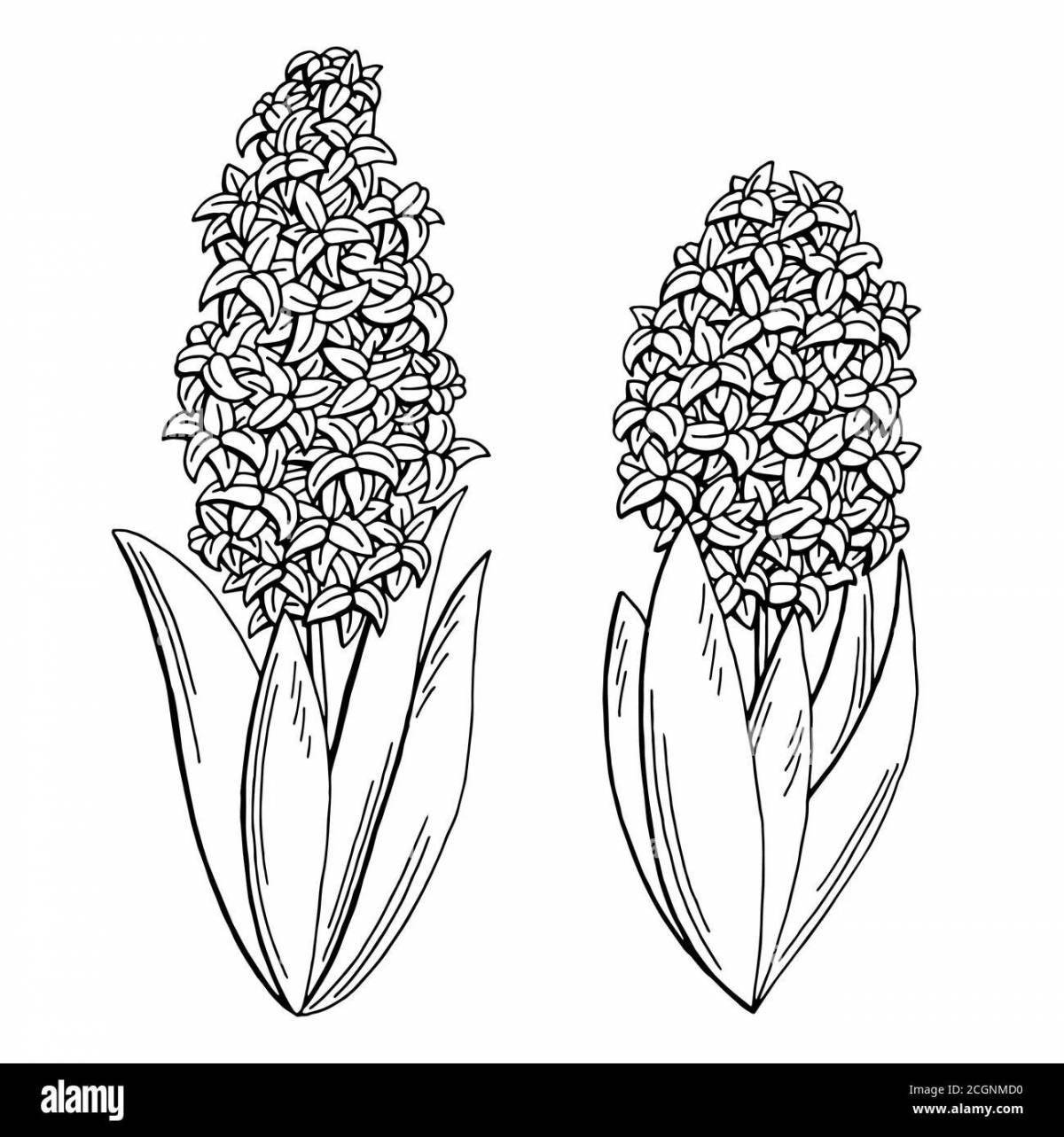 Glowing orchis coloring book