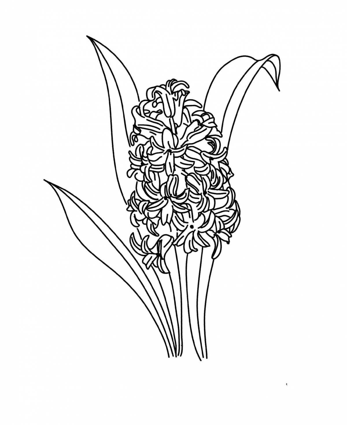 Coloring book striking Orchis