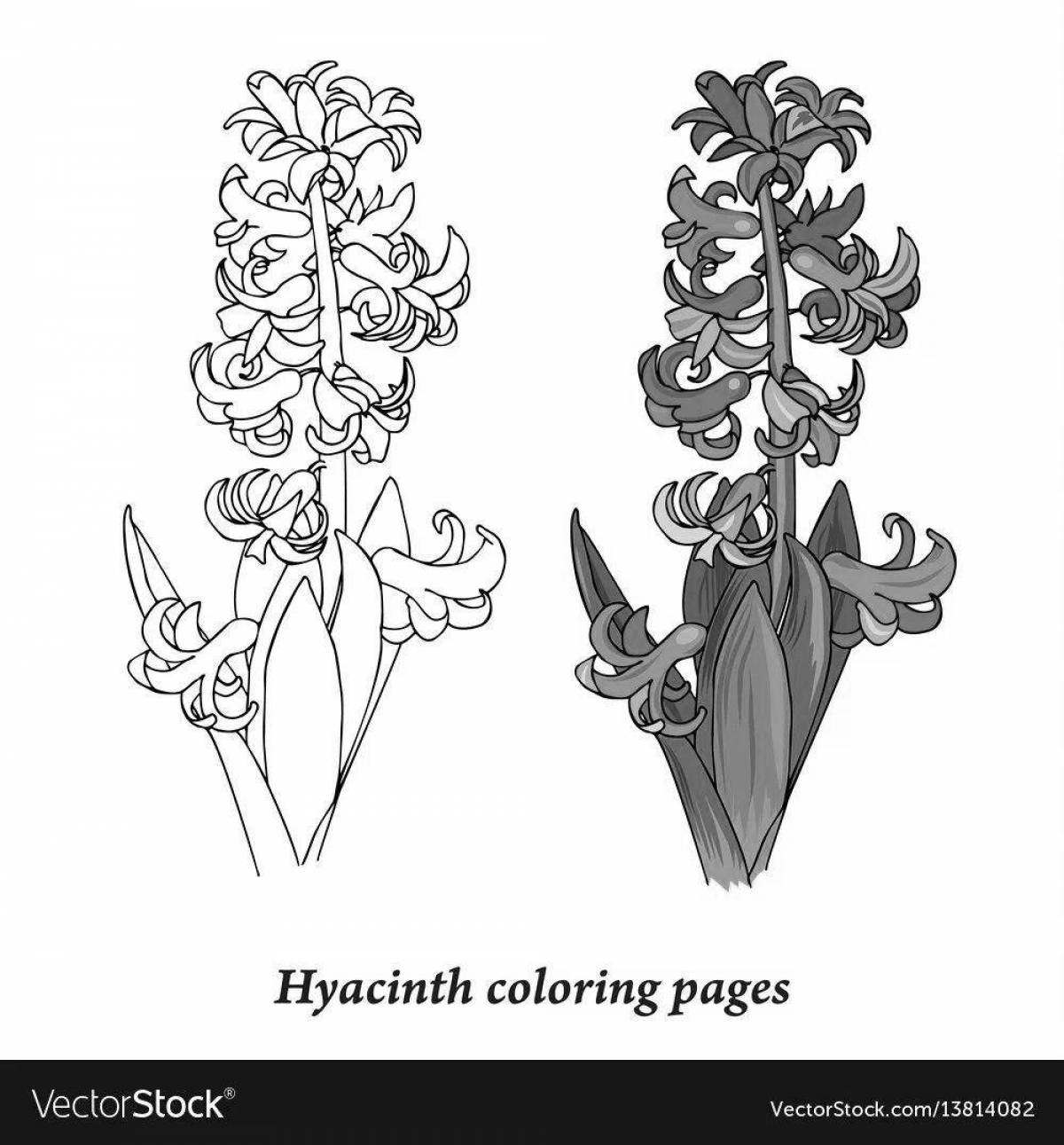 Coloring book dazzling orchid