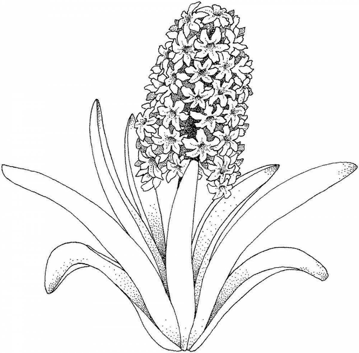 High orchid coloring page