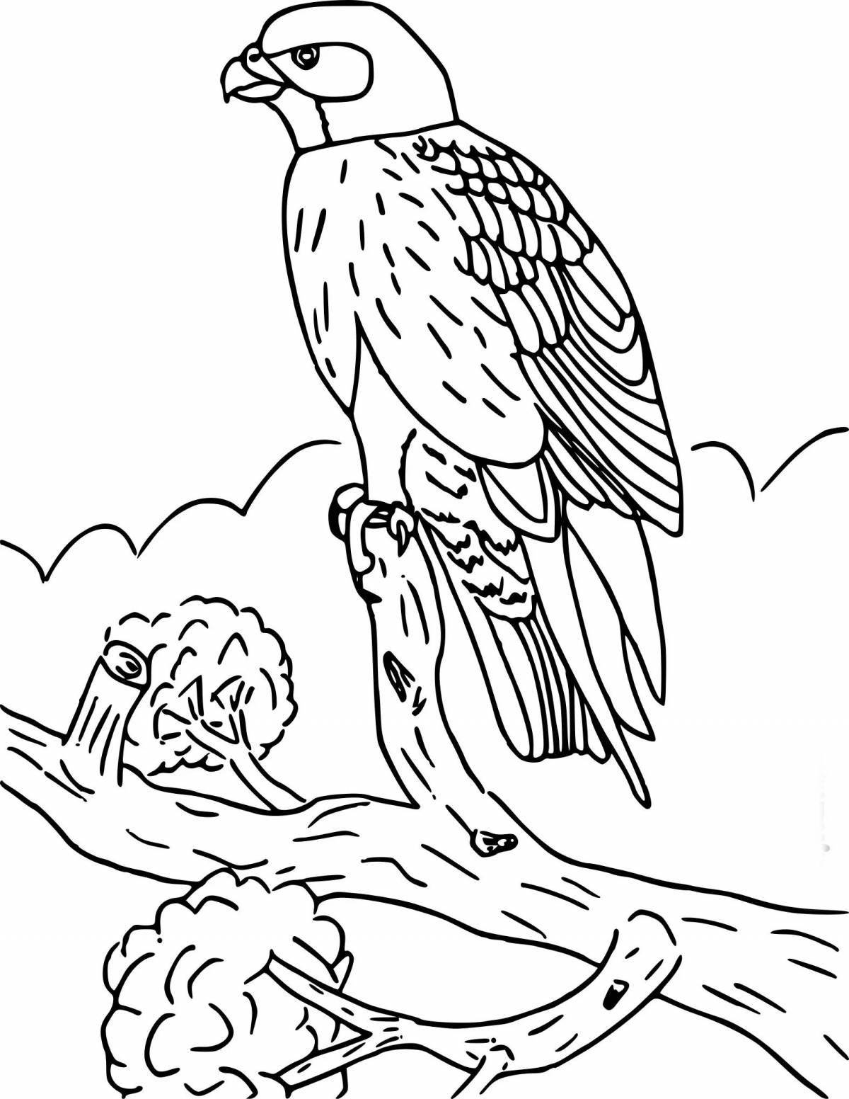 Photo Merlin magic coloring book