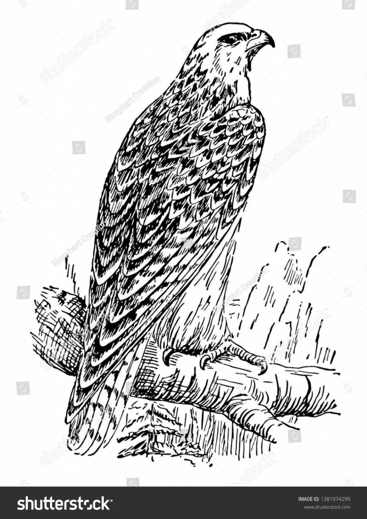 Photo Great merlin coloring book