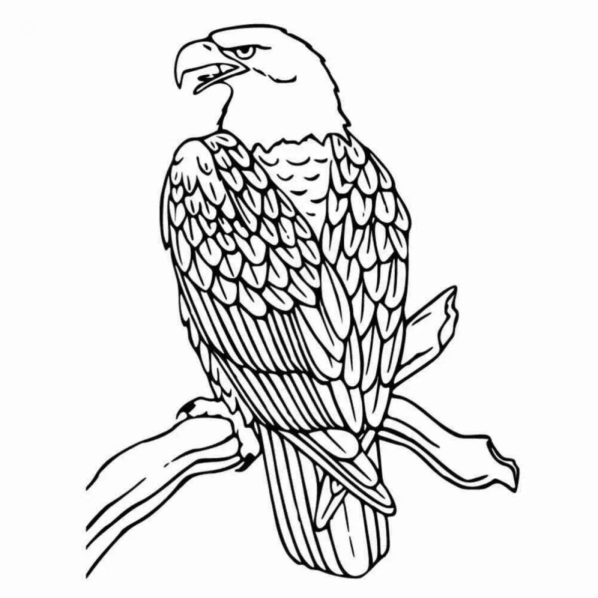 Photo Merlin glitter coloring book