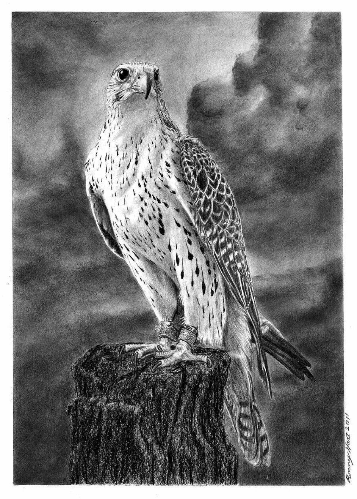 Photo Impressive merlin coloring book