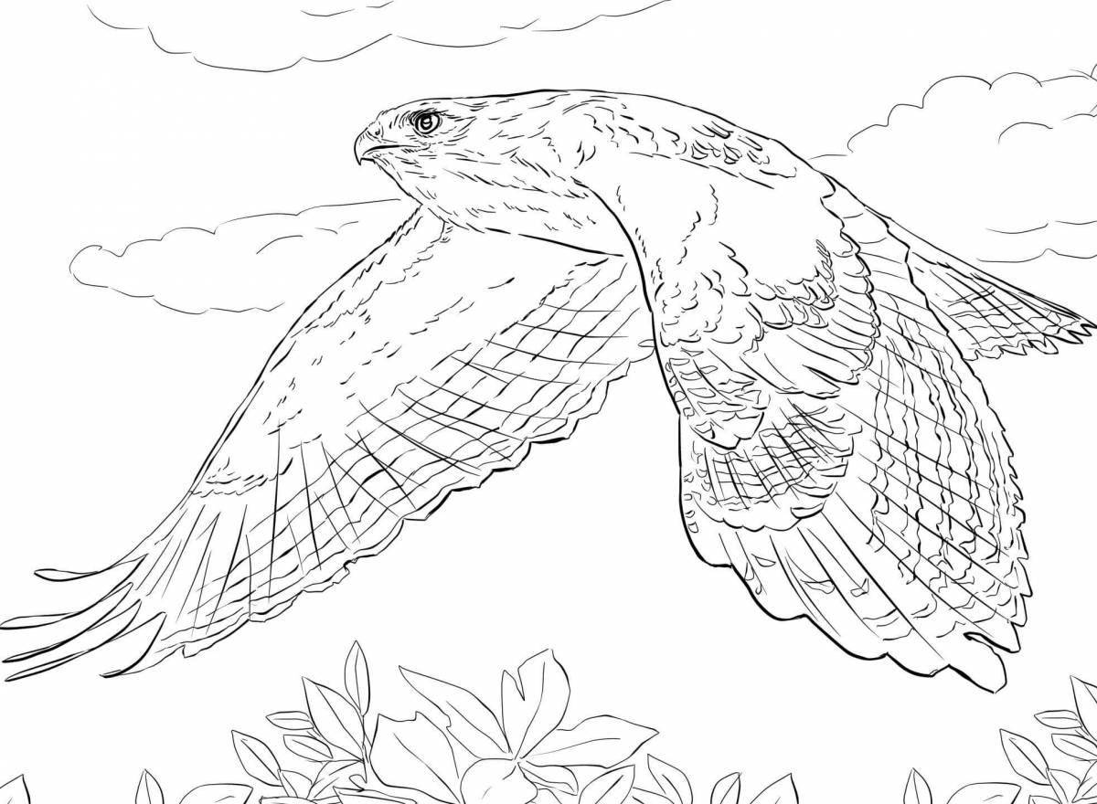 Merlin exotic coloring book