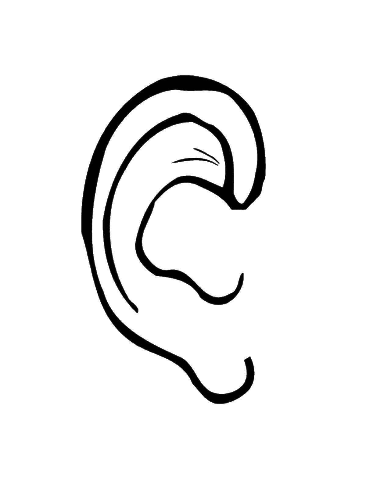 Раскраска «игривые уши»