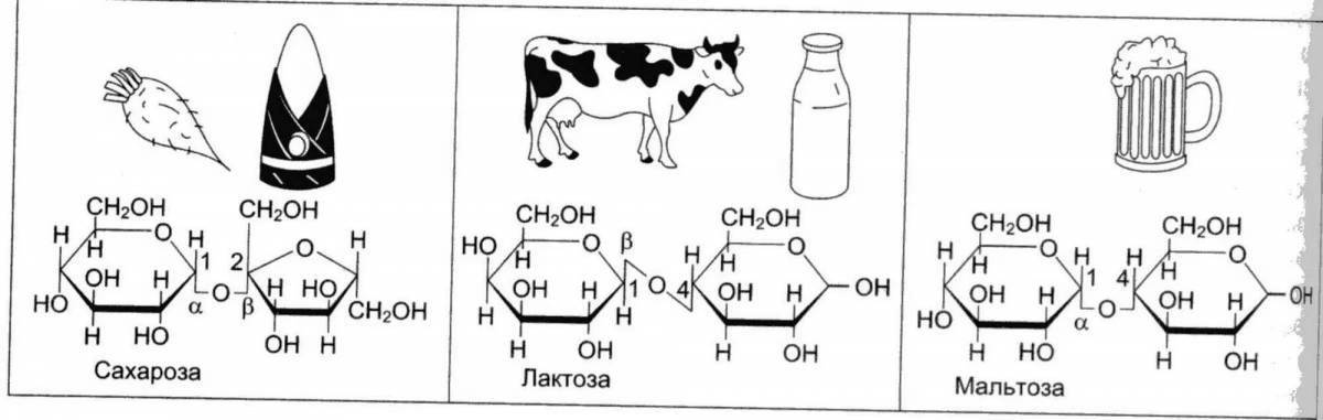 Bright sucrose coloring page
