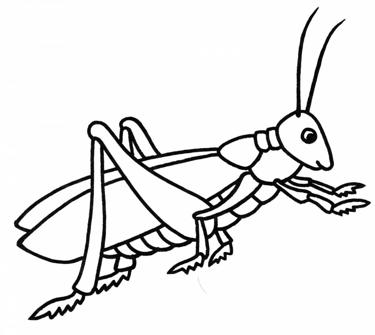 Playful cricket coloring page