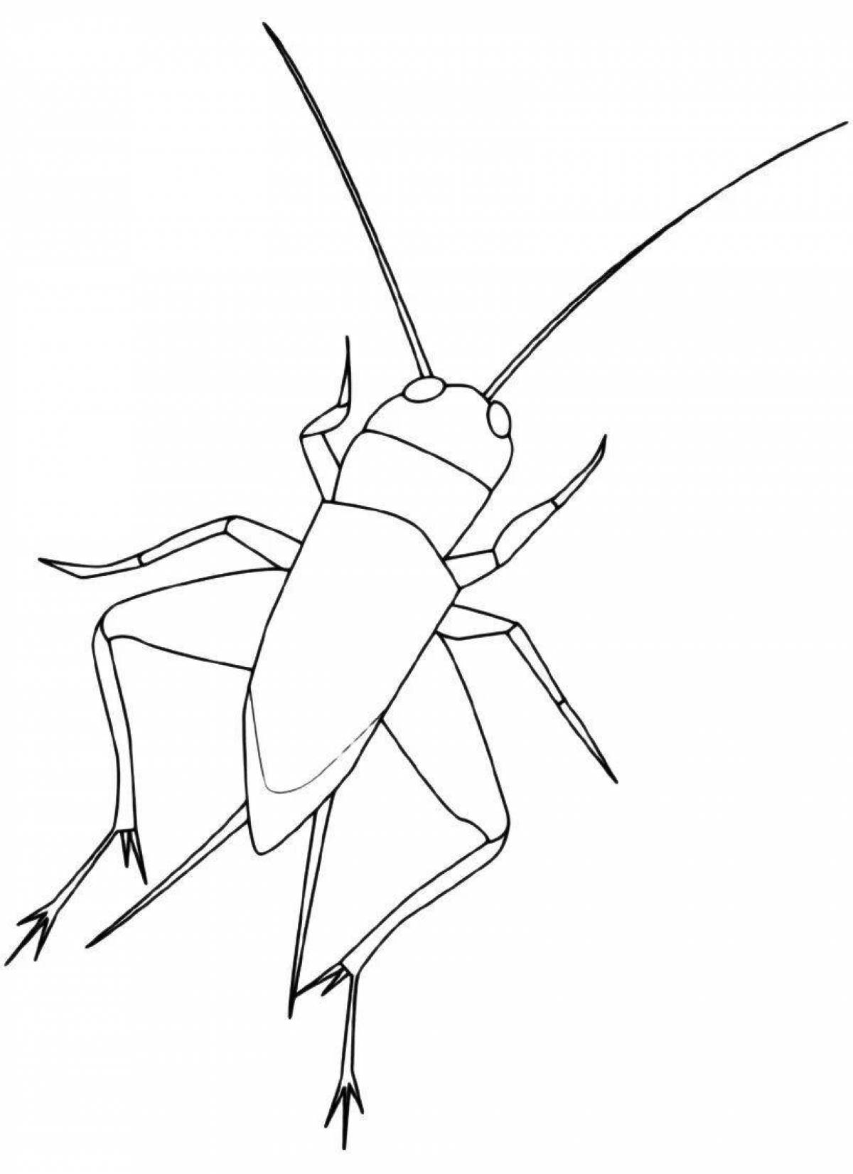 Exciting cricket coloring page